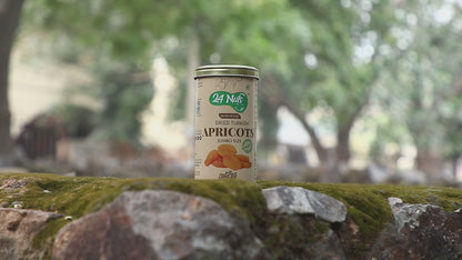 Premium Dried Turkish Apricots: Exquisite Taste & Nutritional Delight